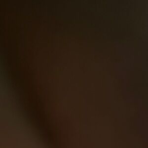 Elegant Red Lace Women's Top